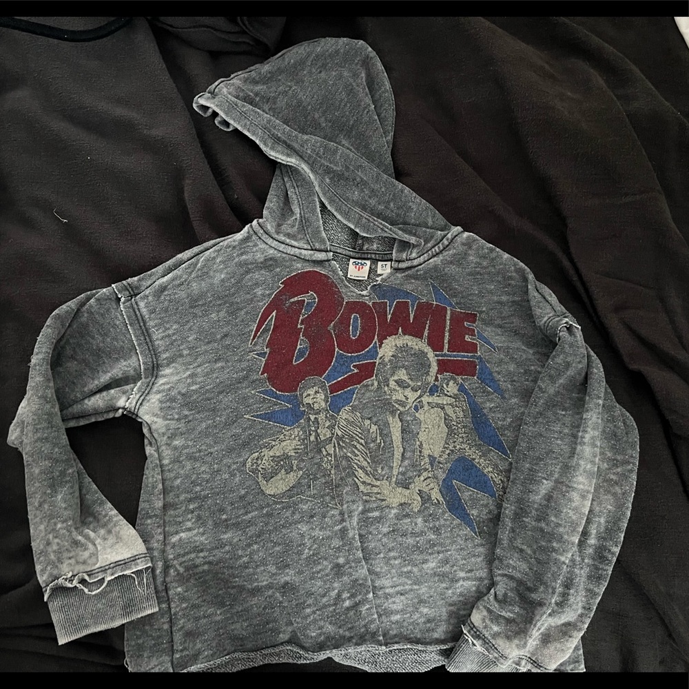 Bowie Hoodie - Junk Food - 5T